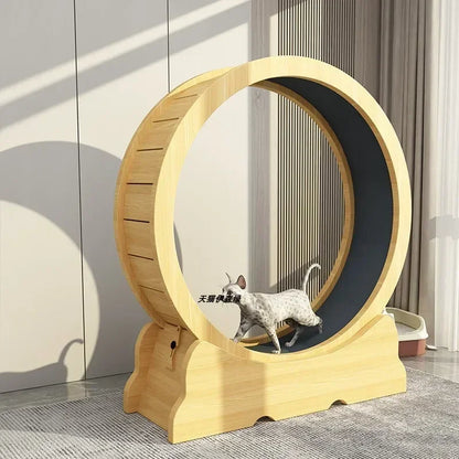 Eco-Friendly Cat Running Wheel - The Ultimate Exercise Equipment for Happy Cats