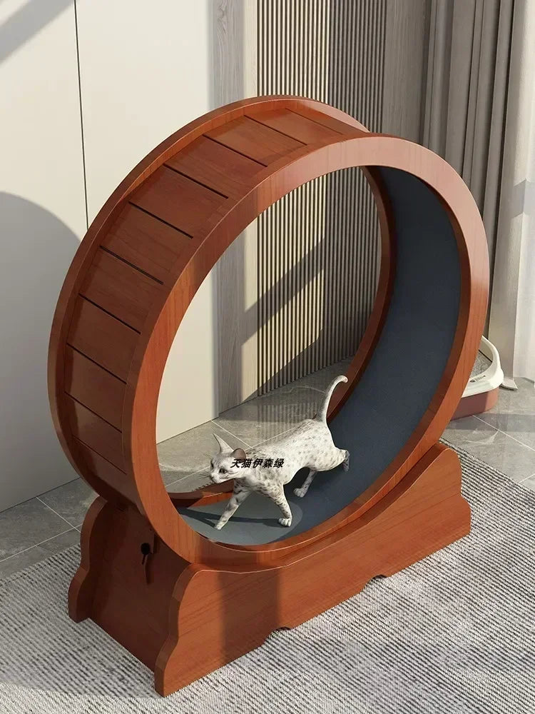 Eco-Friendly Cat Running Wheel - The Ultimate Exercise Equipment for Happy Cats