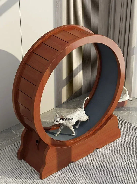 Eco-Friendly Cat Running Wheel - The Ultimate Exercise Equipment for Happy Cats