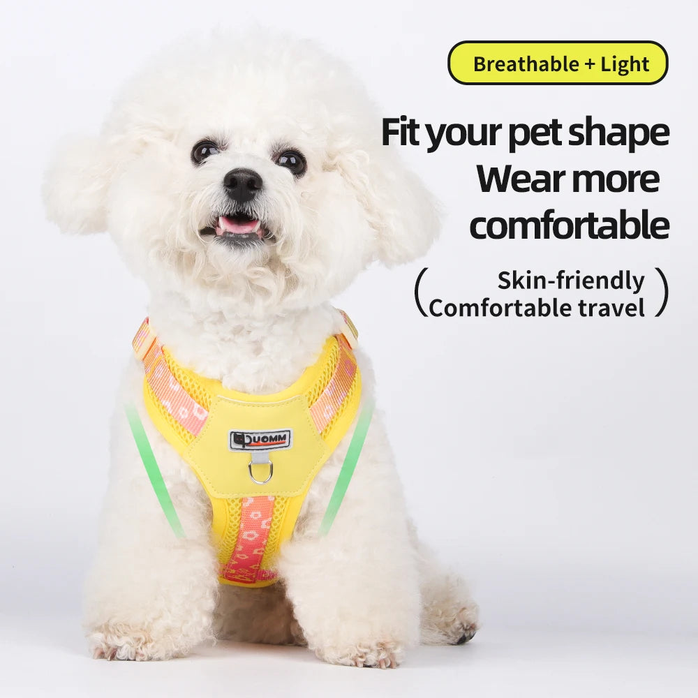 Mystery Paw Kawaii Summer Cooling Dog Harness & Leash Set