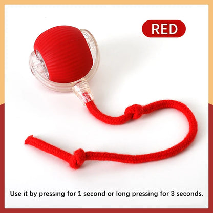 Mystery Paw Smart Interactive Jump Ball Toy