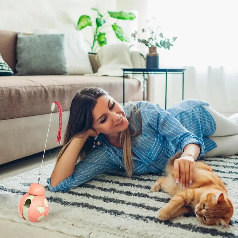 Mystery Paw Interactive Wobble Ball Cat Toy with Treat Dispenser