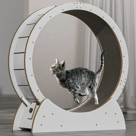 Mystery Paw Solid Wood Cat Treadmill - Silent Fitness Fun for Your Feline