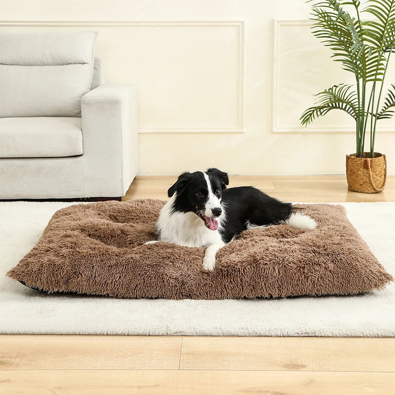 Long Plush Calming Bed - Cozy Retreat for Anxious Pets