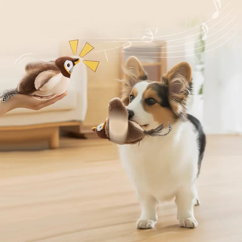 Mystery Paw Bird Chirping Toy for Cats & Dogs - Interactive Fun with Catnip