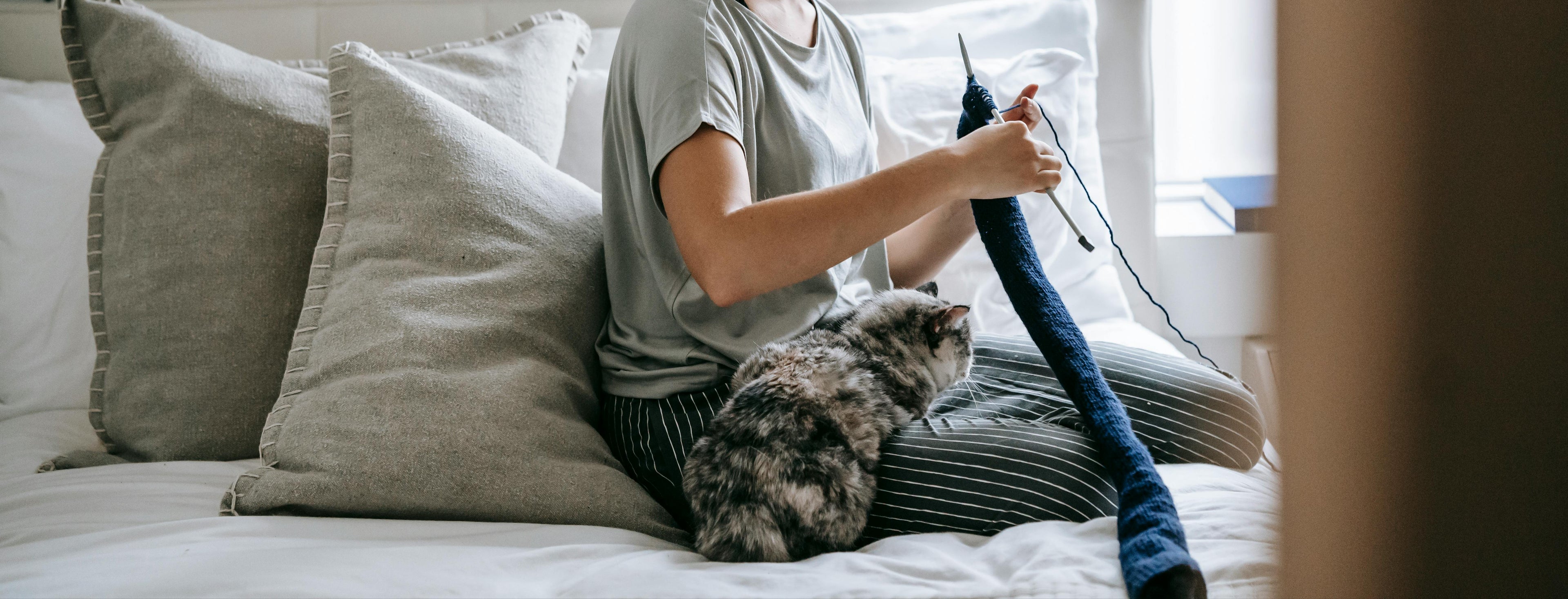 Woman sitting on a bed with a cat, knitting, in a bright room.